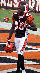 Johnson with the Bengals in the 2007 season