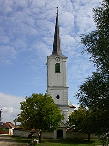 Reformed church in Daia