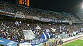 Suwon Bluewings supporters