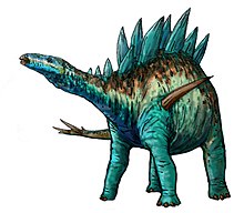 A small-headed dinosaur standing on four legs. The back has numerous bony plates extending upward.