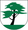 Coat of arms of Horní Suchá