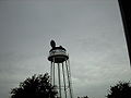 The Earful Tower, Disney-MGM Studios, Florida