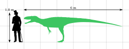 Eustreptospondylus size chart