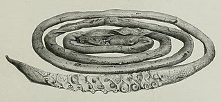 #29 (26/10/1873) The 19-foot (5.8 m) tentacle of the first Portugal Cove specimen, hacked off a live animal on 26 October 1873 (Owen, 1881:pl. 33 fig. 2; see very similar but horizontally flipped woodcut from Harvey, 1874a:68, fig.)