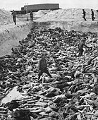 Fritz Klein stands amongst corpses in Mass Grave 3.
