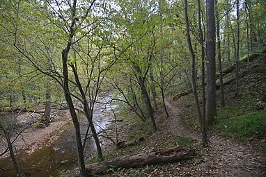 Muddy Branch Stream and Muddy Branch Trail