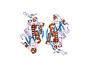 1ef7：人组织蛋白酶X的晶体结构
