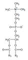 General structural formula of phosphatidylcholines