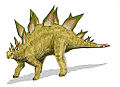 Stegosaurus (Arthur Weasley)