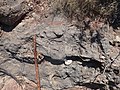 Closer view of massive limestone of the Arroyo Penasco Group at Guadelupe Box