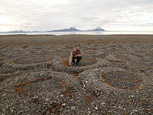 Stone rings on Spitsbergen