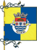 Flag of Vila de Rei