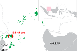 民丹岛在廖内群岛省的位置