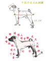 於 2007年12月15日 (六) 12:43 版本的縮圖