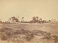 St Anne's Church and surrounding area in Ryde in 1863 at the time the Blaxland family lived at the Hermitage