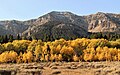 Taylor Mountain in autumn