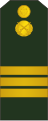 Sergent (Moldovan Ground Forces)[65]