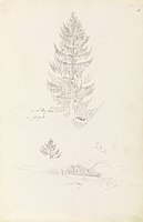 The painting uses this 1807 study of a tree[5]