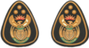 Chief Warrant Officer - Service Dress - Rank Insignia