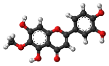 Ball-and-stick model of nepetin