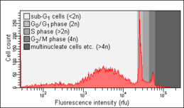 Apoptotic cells several days after apoptosis induction. Note the relative increase of the sub-G0/G1 peak.