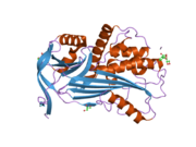 2oay: Crystal structure of latent human C1-inhibitor