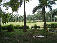 The Parterre and shade trees.