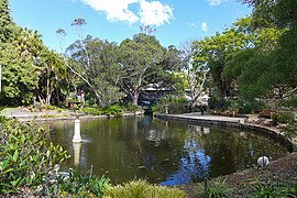 Lotus Pond in winter