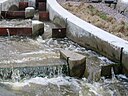 ☎∈ Fish ladder in Uppsala, Sweden.