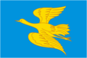Flag of Belinsky