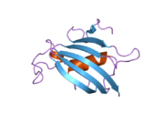 2awg: Structure of the PPIase domain of the Human FK506-binding protein 8