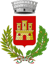 圣维托雷奥洛纳徽章