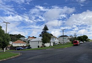 A view of typical houses in Tāmaki