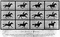 Image 43Eadweard Muybridge's The Horse in Motion cabinet cards utilized the technique of chronophotography to study motion. (from History of film)