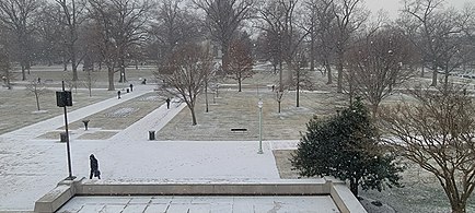 Stribling in the Snow