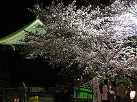 筱山城和夜里的樱花