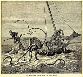 #29 (26/10/1873) Victor Nehlig's 1881 impression of fisherman Theophilus Picot's encounter with a giant squid off Portugal Cove, Newfoundland, on 26 October 1873 (Rathbun, 1881:267, fig.; compare similar illustration by W. A. Cranston, another by Charles Livingston Bull, and this cover by Quinto Cenni)