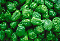 绿色的菜椒，即青椒