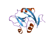 2c6u: CRYSTAL STRUCTURE OF HUMAN CLEC-2 (CLEC1B)