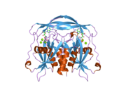 2dsd: Crystal structure of human ADP-ribose pyrophosphatase NUDT5 in complex with magnesium and AMP