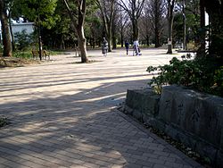 芦花公园入口