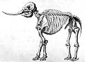 Image 37Drawing of a mastodon skeleton by Rembrandt Peale (from History of Wisconsin)