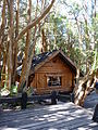 Little cabin in the arrayanes forest