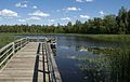 Pier on the lake