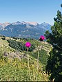 Cerro Otto trail in summer