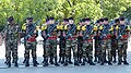 Troupes de marine on parade