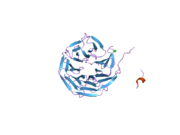 2gnq: Structure of wdr5