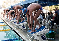 奥运选手Ryan Lochte（近）站在楔形起跑器的顶部。每位游泳运动员通过对他们弯曲的双腿施加向下的压力，进行准备性的等长压力。这样做的目的是对肌肉进行预负荷，有助于使随后的跳水更加有力。