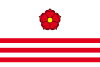 Flag of Větřní
