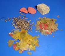 On a blue background, two large light red wafers at the upper left, a light gray compressed cube at the upper right, small brown pellets at the middle left, and, at the middle right and bottom, various yellow-green and red flakes